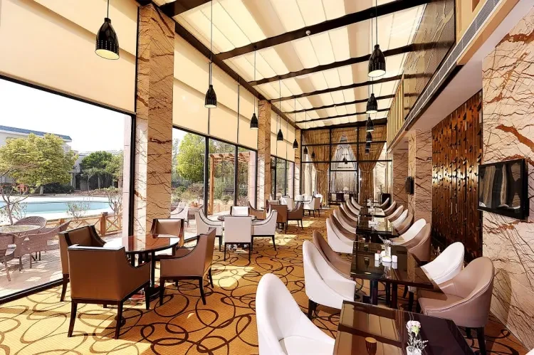 0b545a2093bf525397cefc37169c3e93-sz_245943