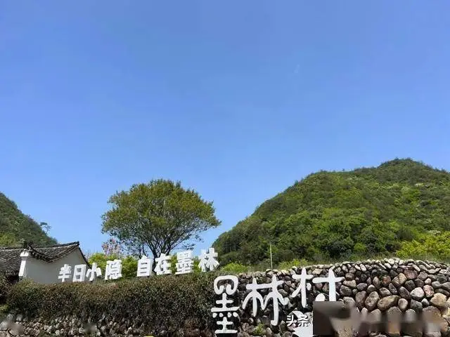 0b5e0ee295e29ff08d3b2a0ac6168643-sz_43989