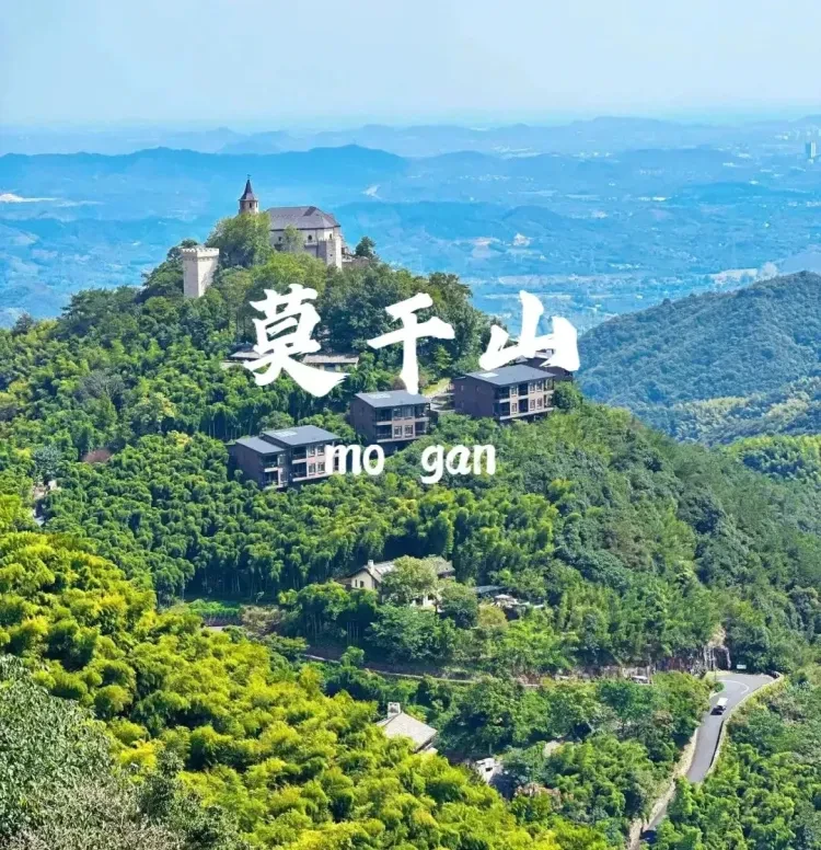 0b7f3fe2f2afd219f9142b547dd108b4-sz_2862770