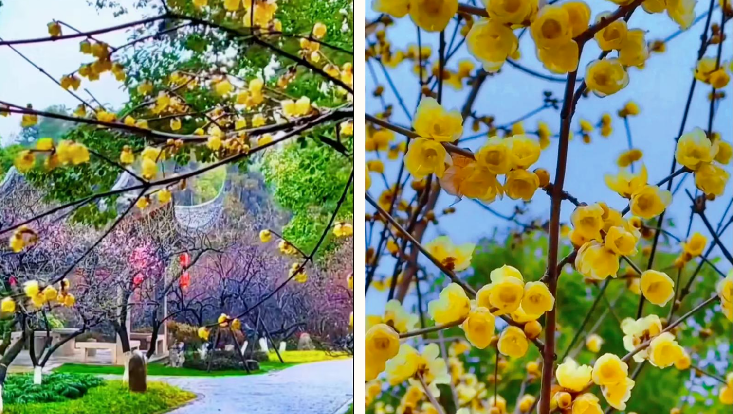 0c072da5242459a518399d2300e3a730