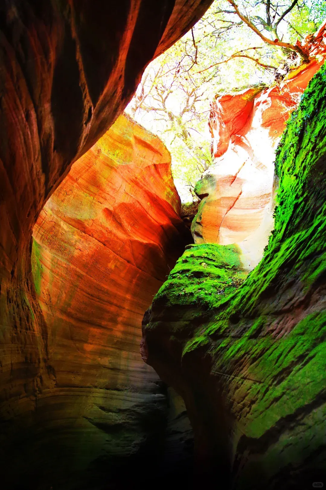 0d106801991c6d20b9eeac233f18b240-sz_2691718