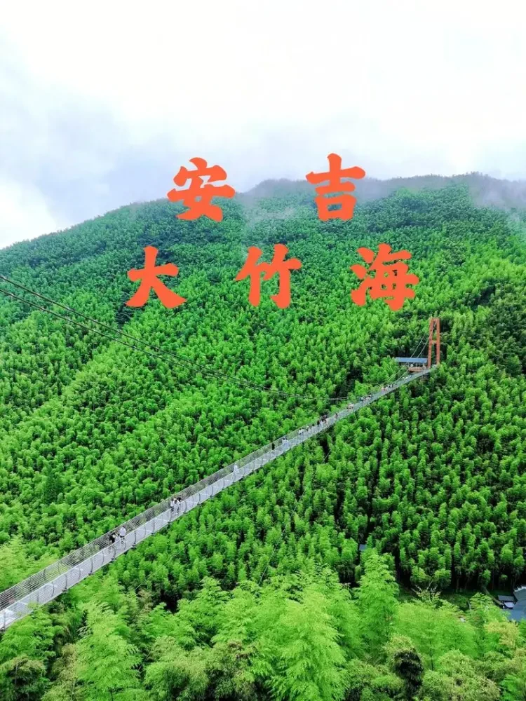 0d843b97920d30ab8ad5429db23da9fa-sz_229079