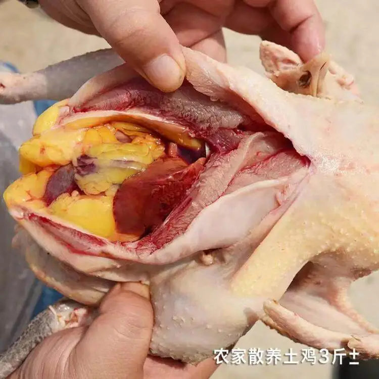 0dbf41bee82432b8d3aea9b070db4506-sz_64585