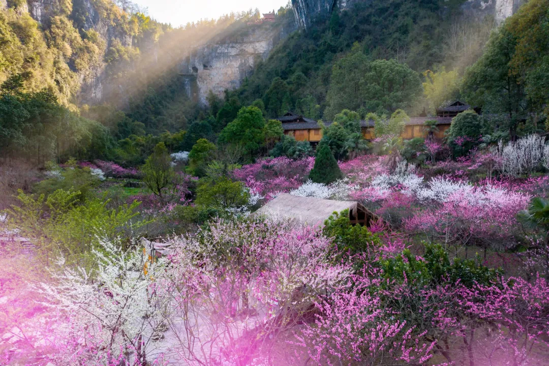 0e52d5d2f049a506fc371a83bbf1b3e9-sz_8107858