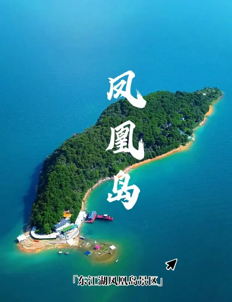 0ee39c0063f84b74b12a36b44b288714-sz_1702184