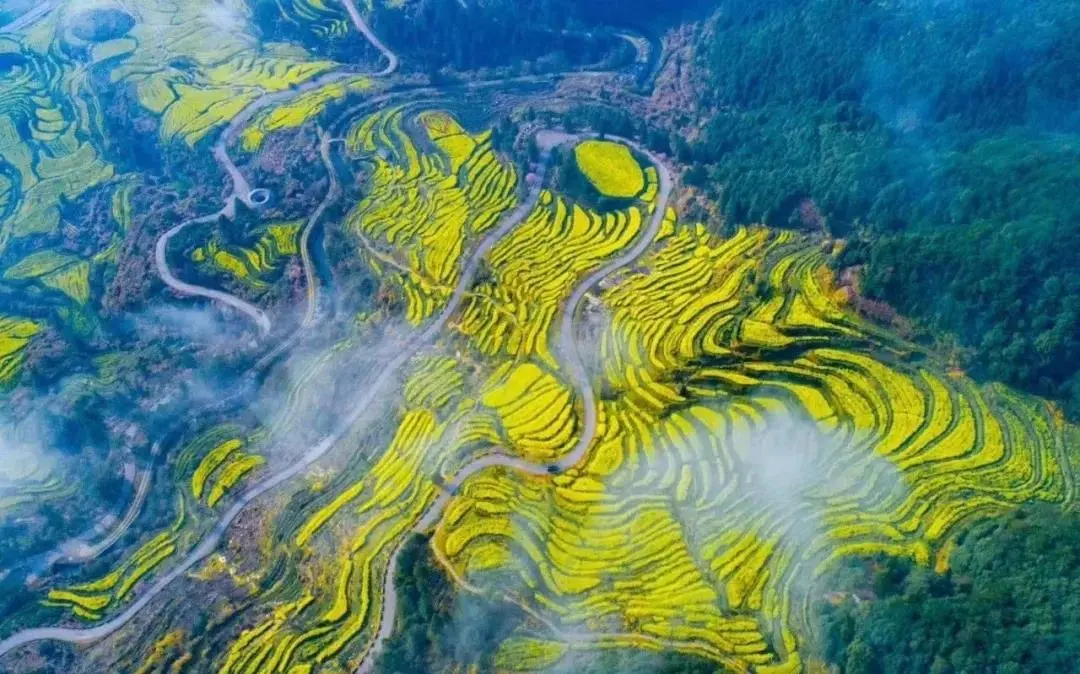 0eea0387c889169008ca97345c9b6e44-sz_145417