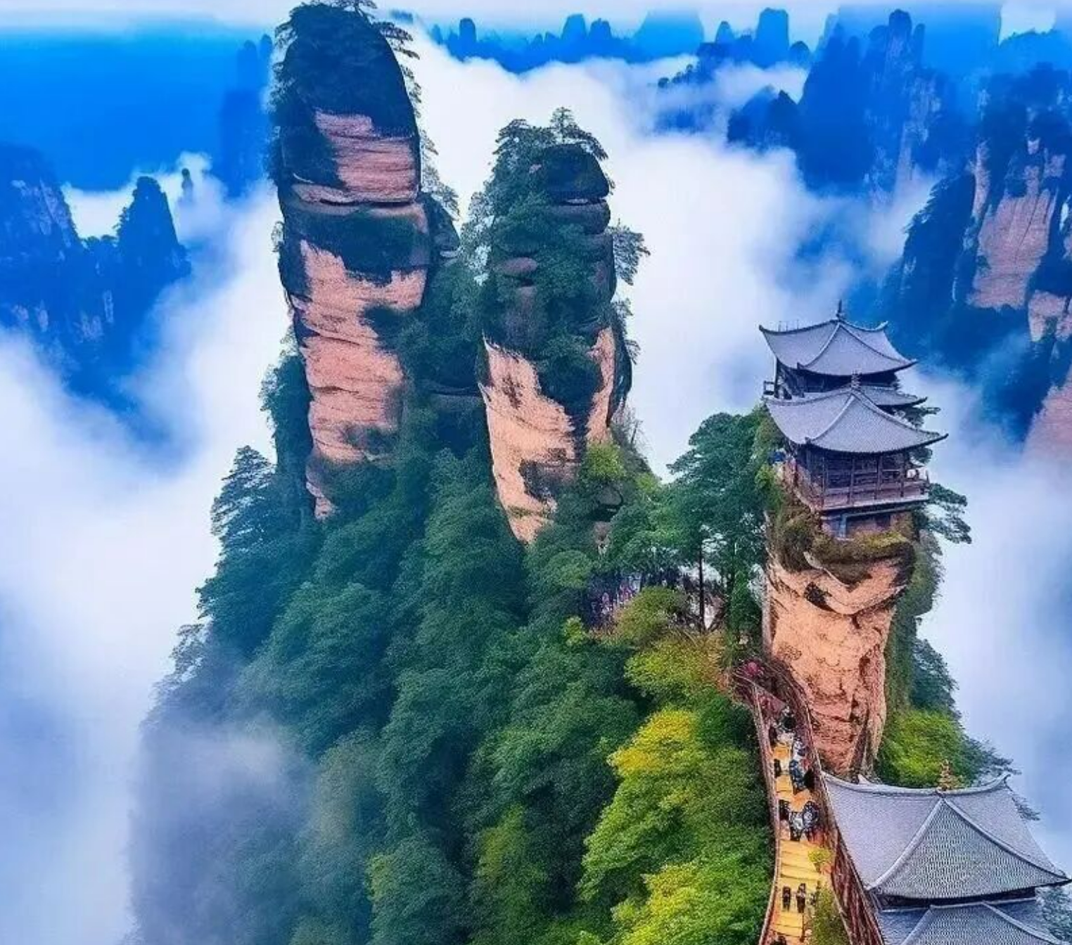 0f0cfd7babad527f22f801ee99398c8a