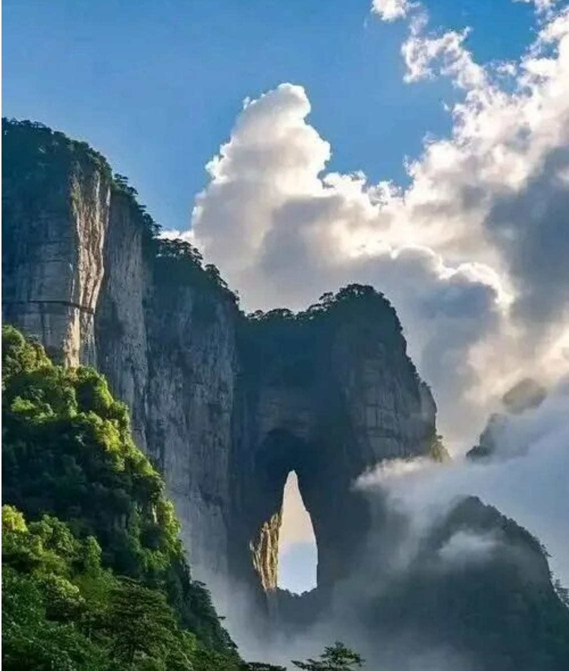 0f91f946e56f5ce49a8127f04ba23562