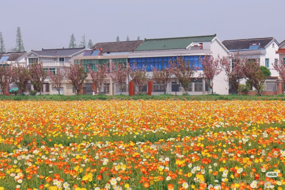 10617c1d6d3f1c8831f9460b8ff39869-sz_1124290