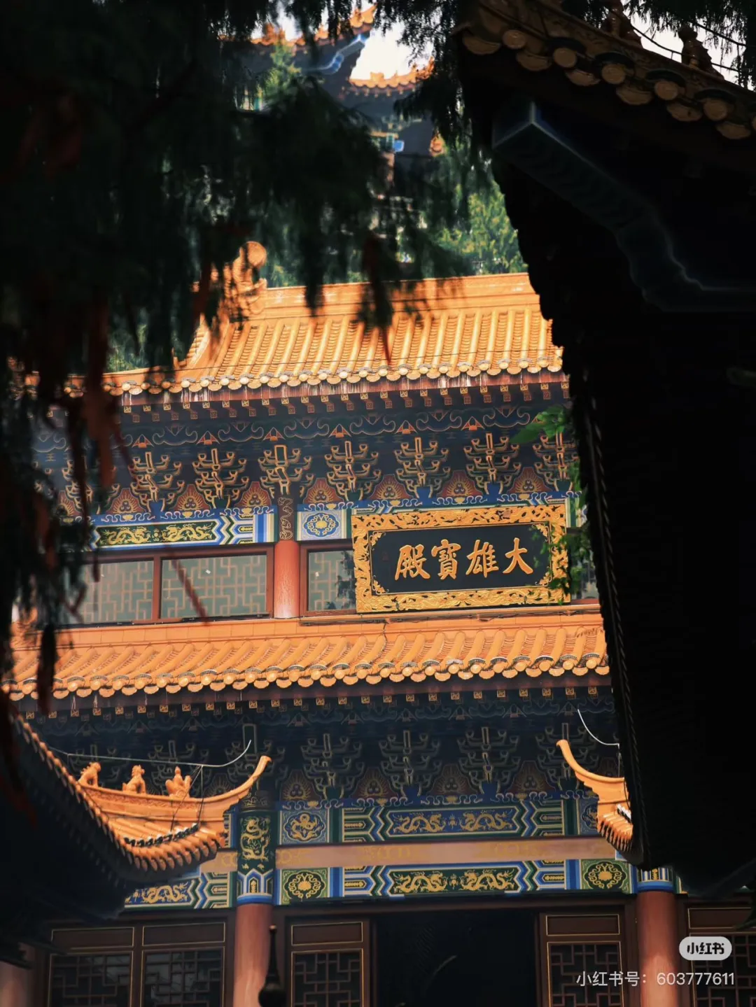 1075309ed56c7e4929c4effd8378a255-sz_433691