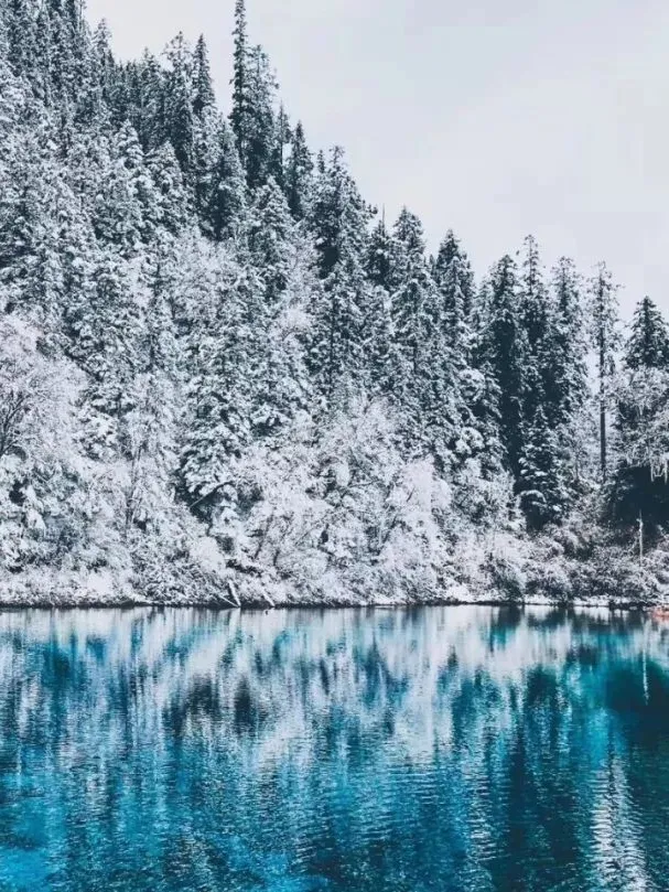 111b1db7984590d2b6014cb6f306fd85-sz_286662