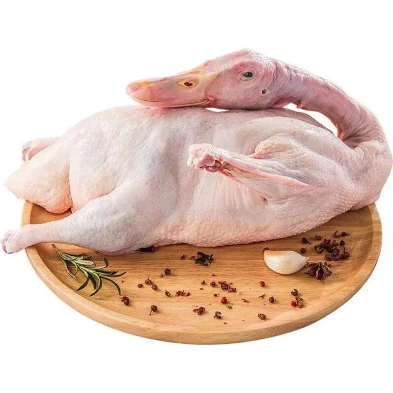 111b235c5a842fb232699afb122e9fbf-sz_856213