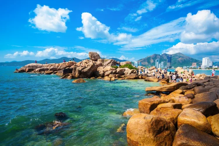 117b44660742b2de4fea4ed6d5cf1819-sz_1757284