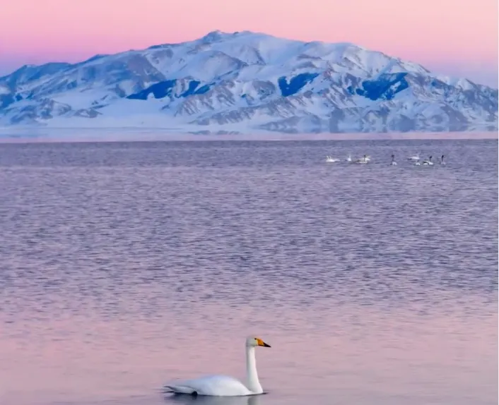 117ffd8a5f12e757a1f78865b031f01a-sz_696311