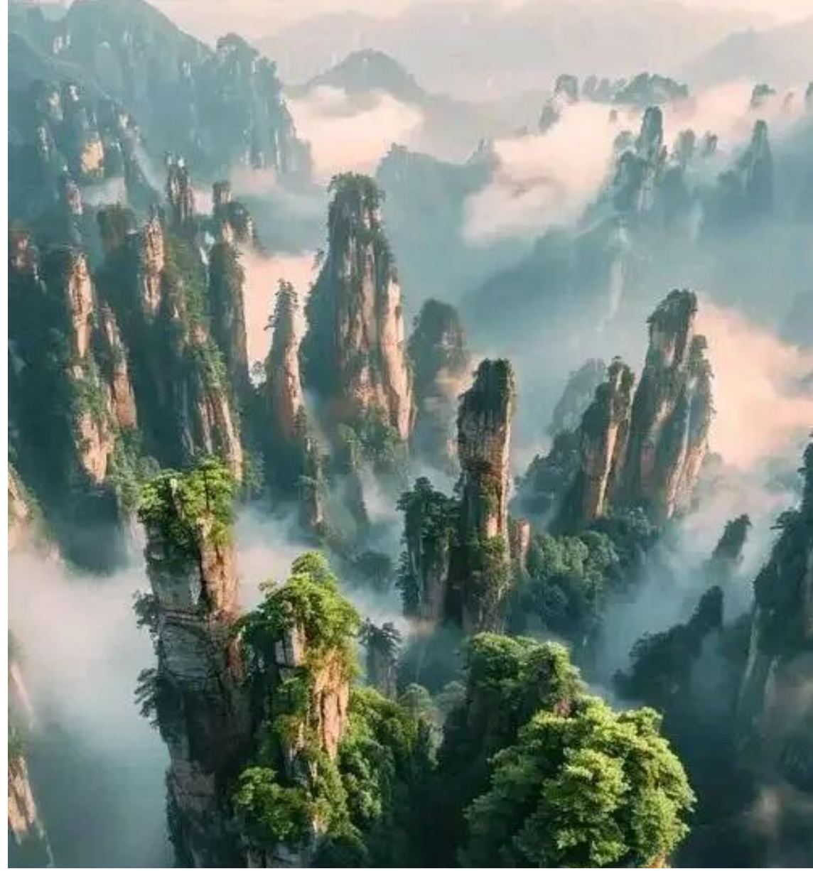 1185ca16c91378bd572ab742c8182158