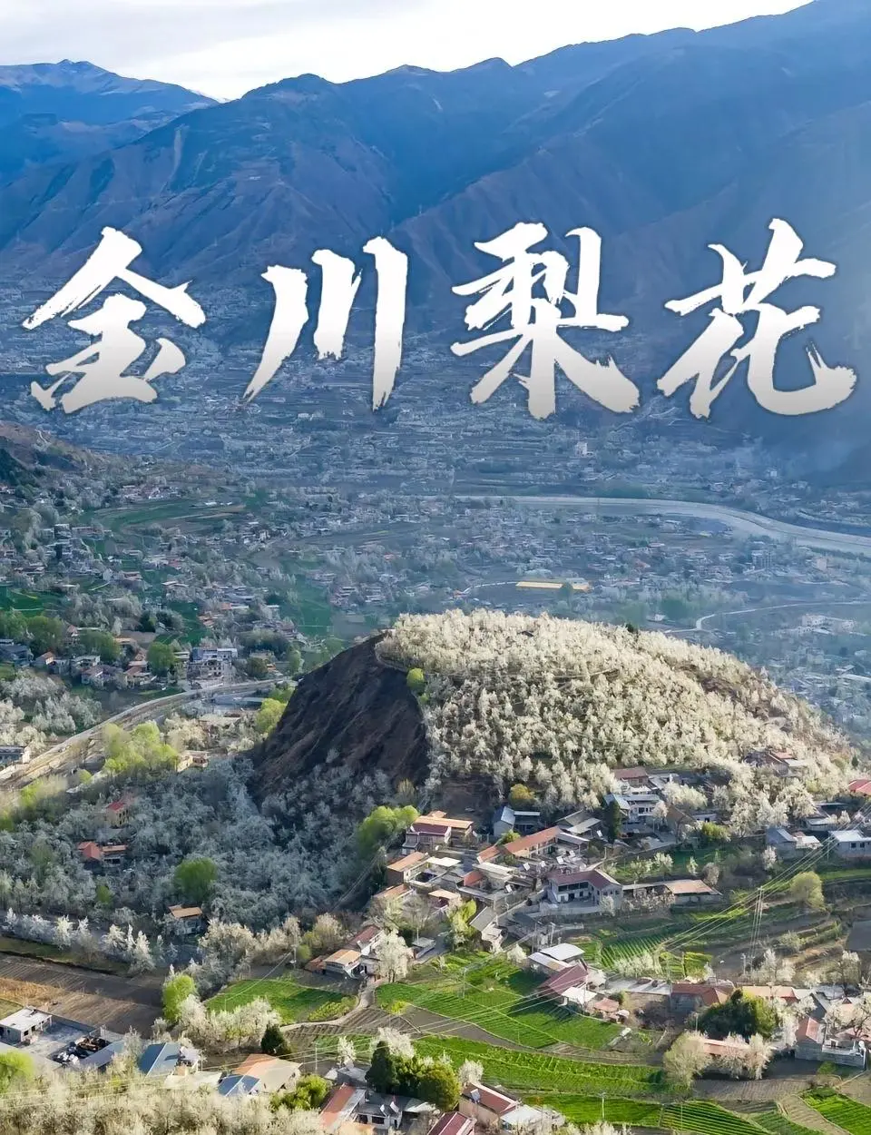 11bfa5ce635e927911a87303e35aa40e-sz_242924-1 11bfa5ce635e927911a87303e35aa40e-sz_242924-1