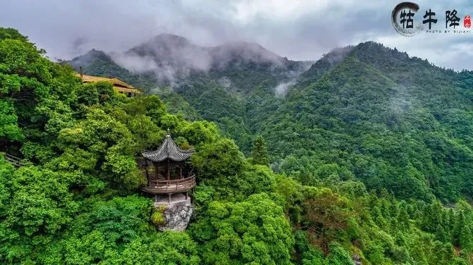 11e733bb94df4831b144c3d648f5641c-sz_82915