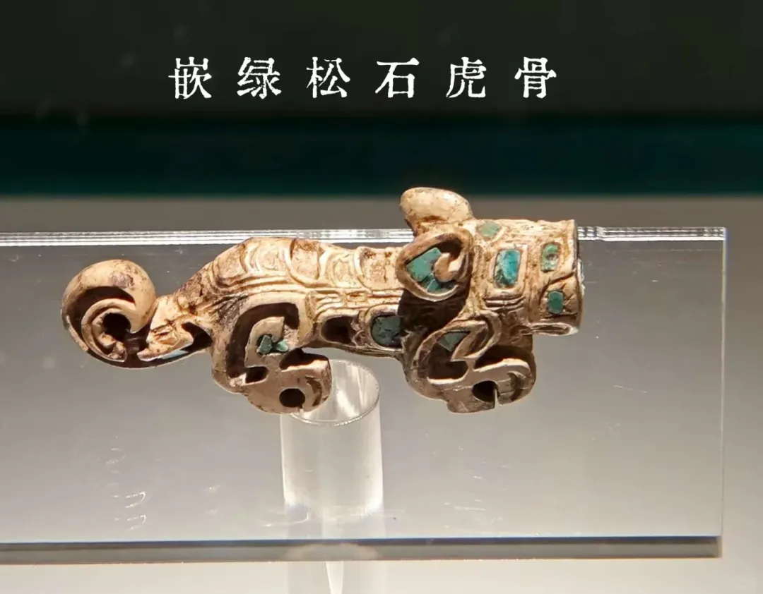 11ef1399773ea13f27ae6a8f6fb219bf-sz_1080117