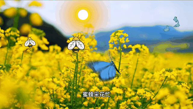 纯玩临安赏花送笋三天299元，体验挖春笋-每人再送五斤，赏樱花-油菜花-2含2早5正餐，餐餐12菜1汤，棋牌K歌免费