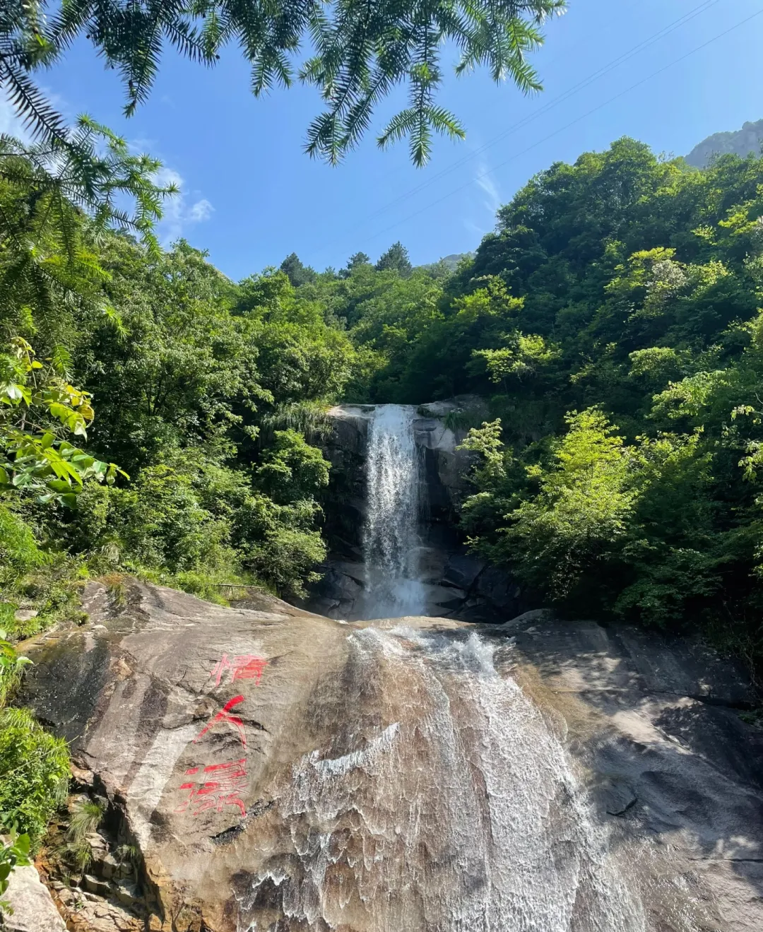 120d68c66197a09a5a8919051fa2488d-sz_2339331