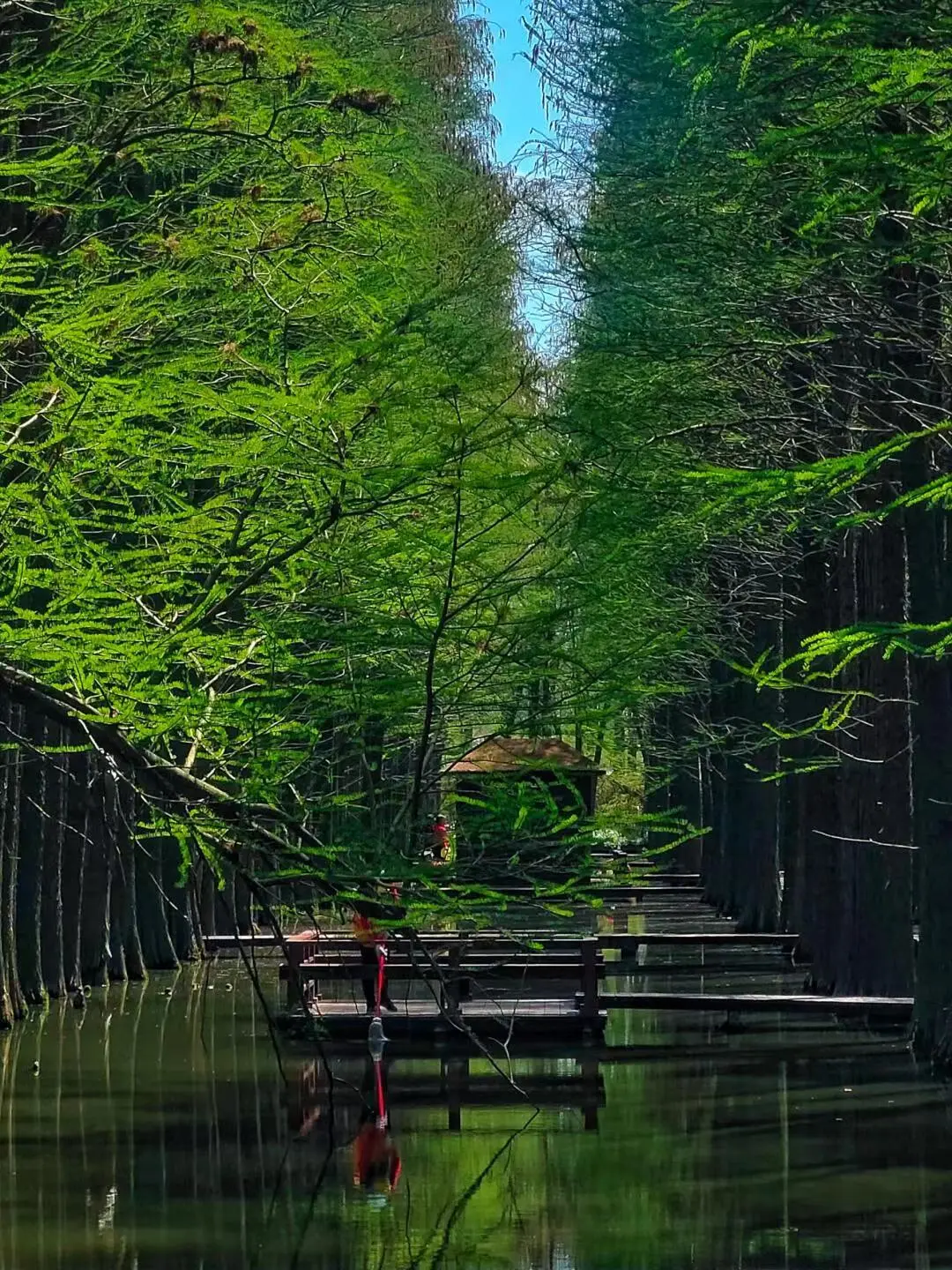 ☞兴化丨市中心酒店【298元纯玩4日❤进店赔10000元】升级黄鳝烧肉🥩肥牛小火锅 酸菜鱼 甲鱼煲❤3早6正餐，晚餐升级12菜一汤！ ❤免费棋牌&唱歌