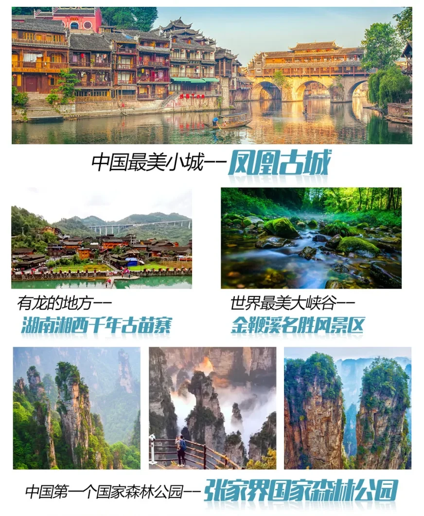 12eeb4c6b1ca9add570a2d726bbe1e6b-sz_458116