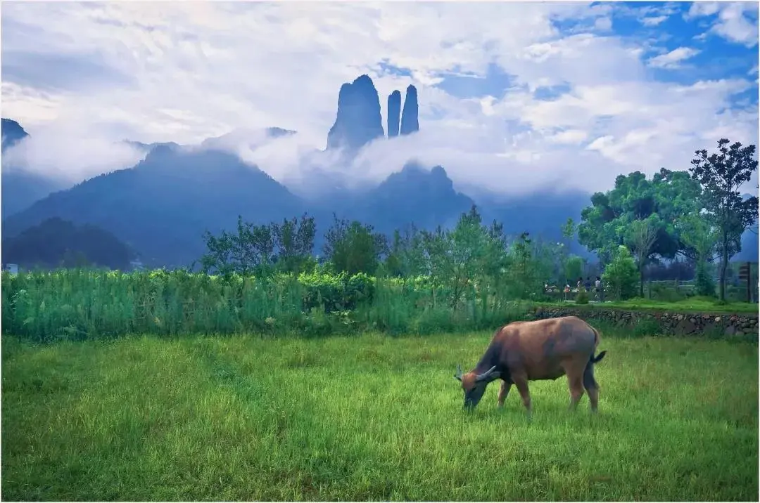 13434ef4b0c40f12abcb80381c2f2bf2-sz_123379