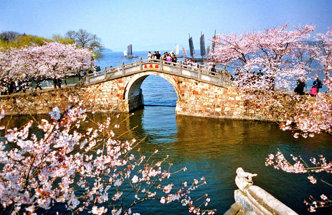 138ca07624a021b06bddb910c3e44682-sz_393566-1