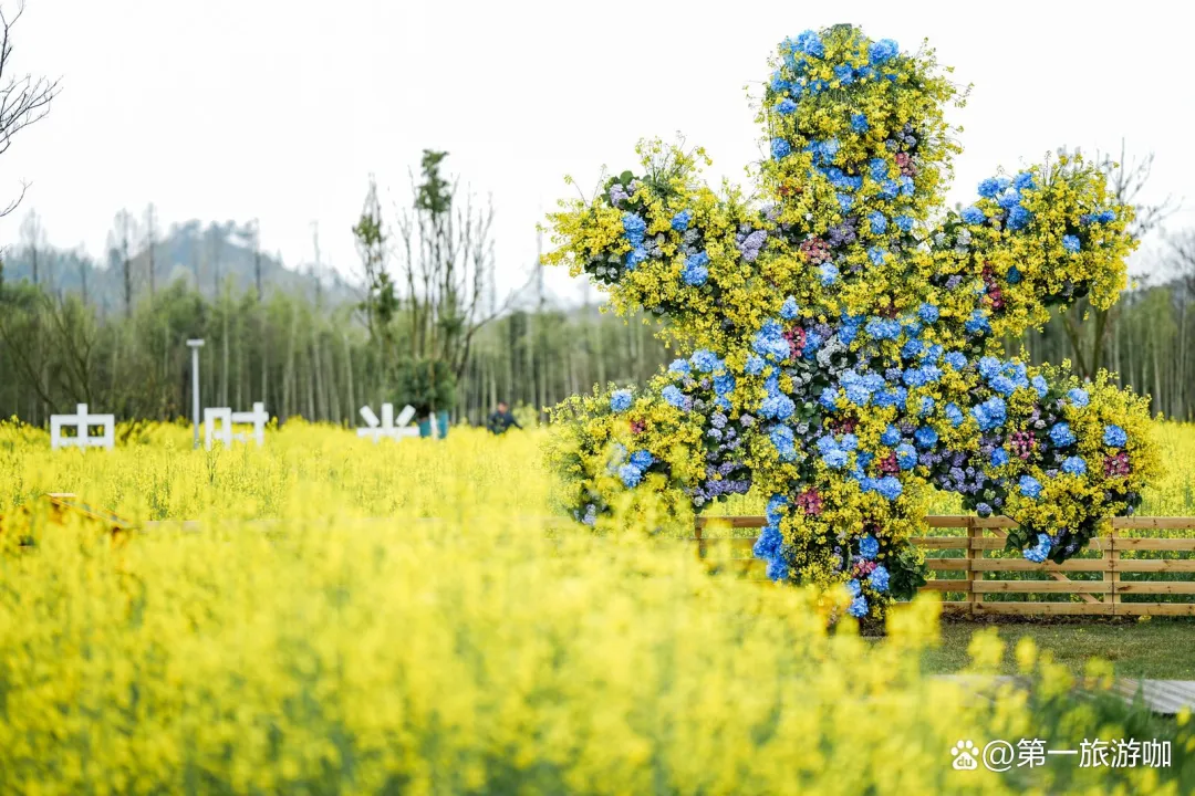 13b7803be62e5921ac2f762d7cdcfead-sz_428564