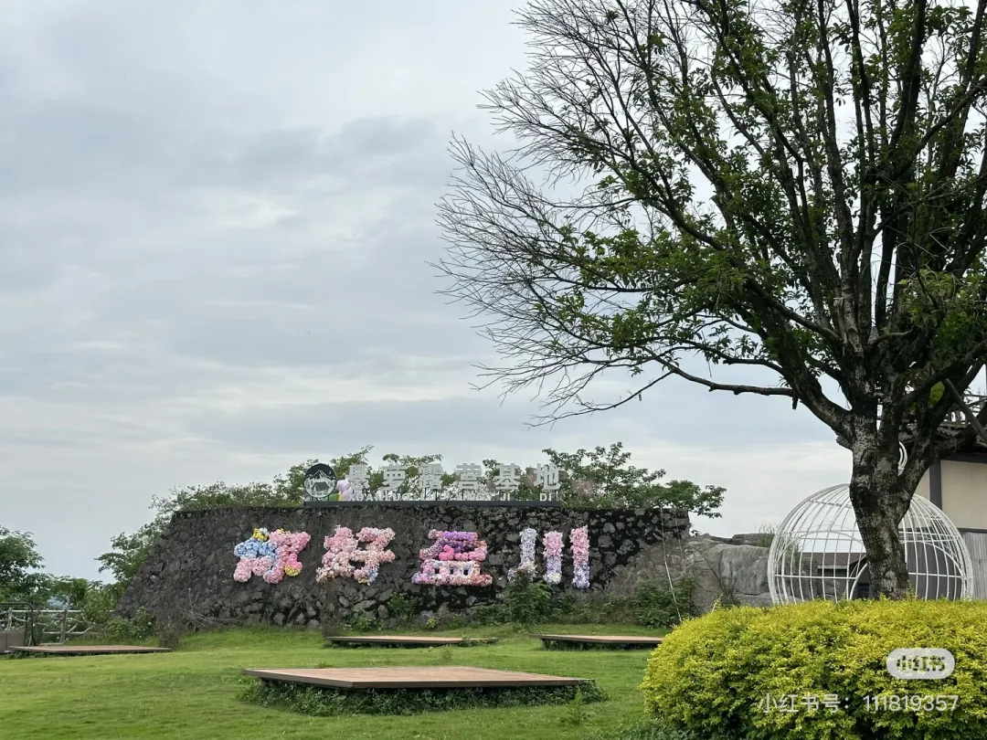 13cabc63f7c406135d33ca8f82b41176-sz_620727