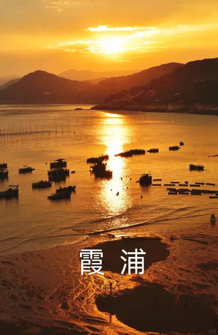 13ccd1310b84cb0cfcb5cc670960e4f9-sz_2521036