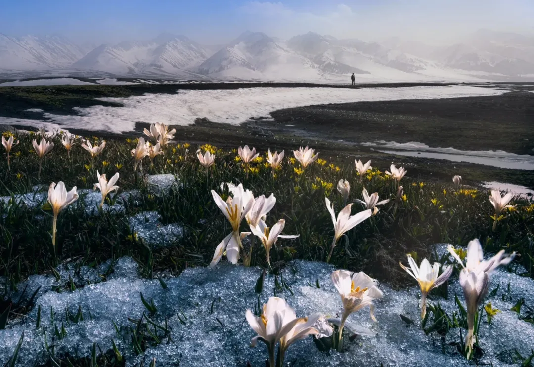 144c4fa15fdcf586dab7c375cc753a9d-sz_597677