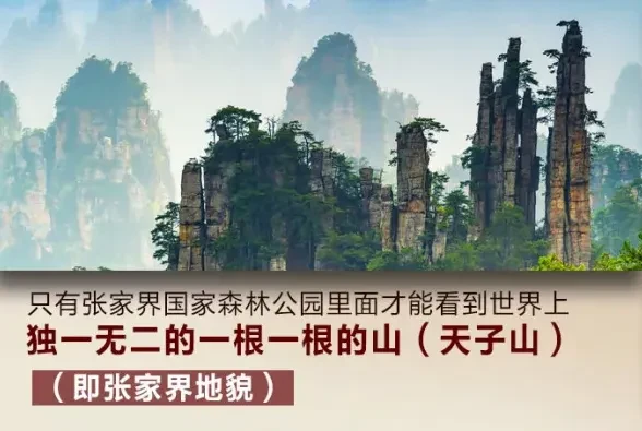 14dc48ca239b6972139c989031fe6556-sz_2448112