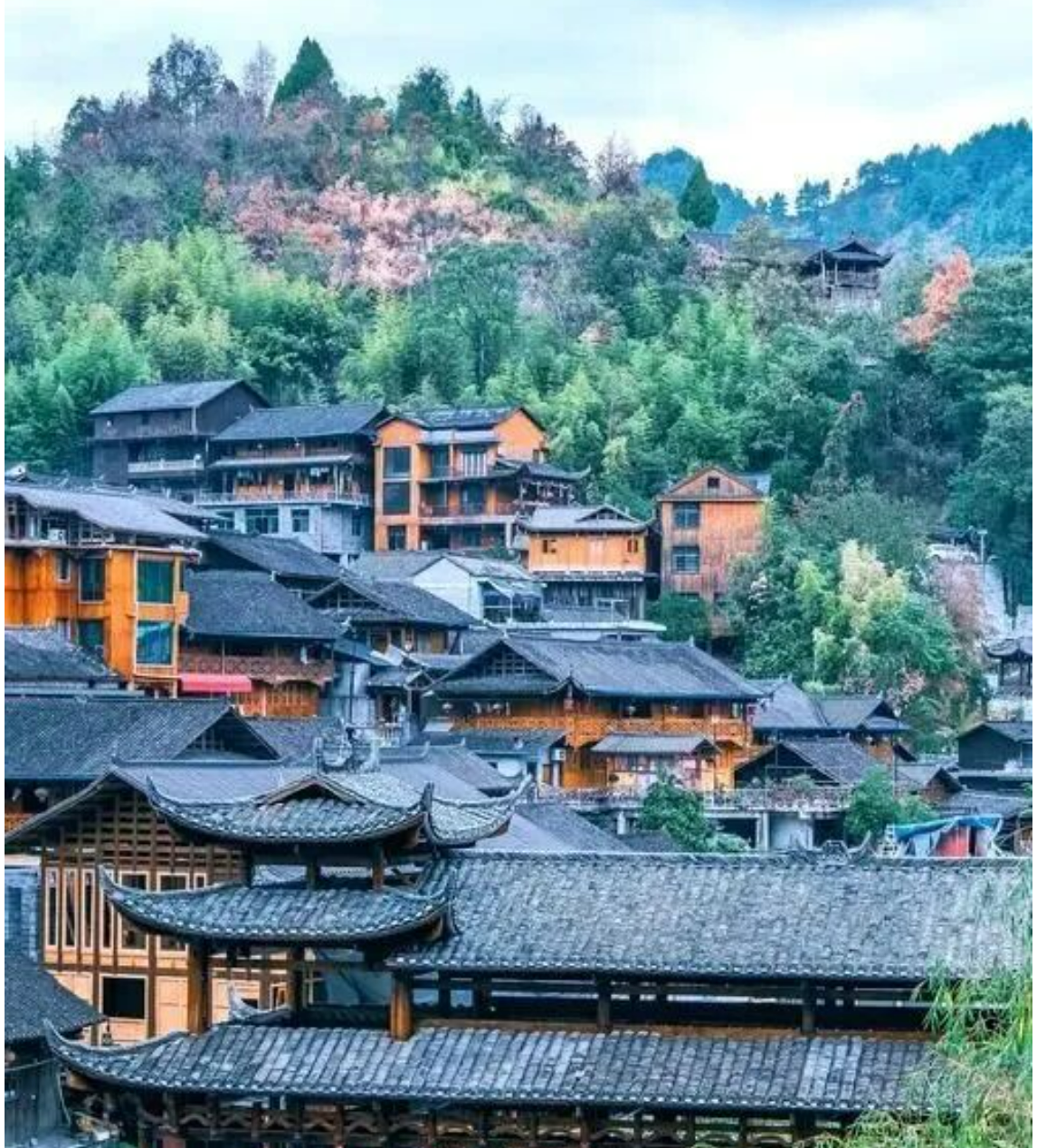 15172c3a71c8a2539855702fa0d5ed8d