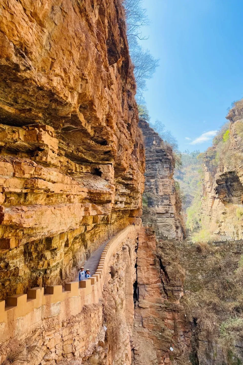 1560eafa7dc5b75c7ce9769164f76957-sz_731644