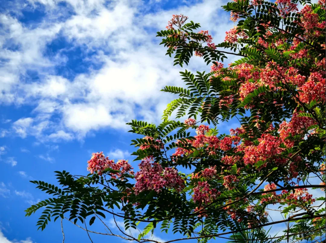 159403cbb2485acf1ebd883a61079b7e-sz_3329764