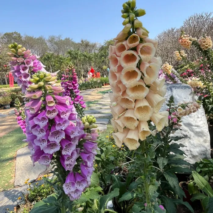 15a2d26ba555e6c0992d8263cbf3347e-sz_1615646