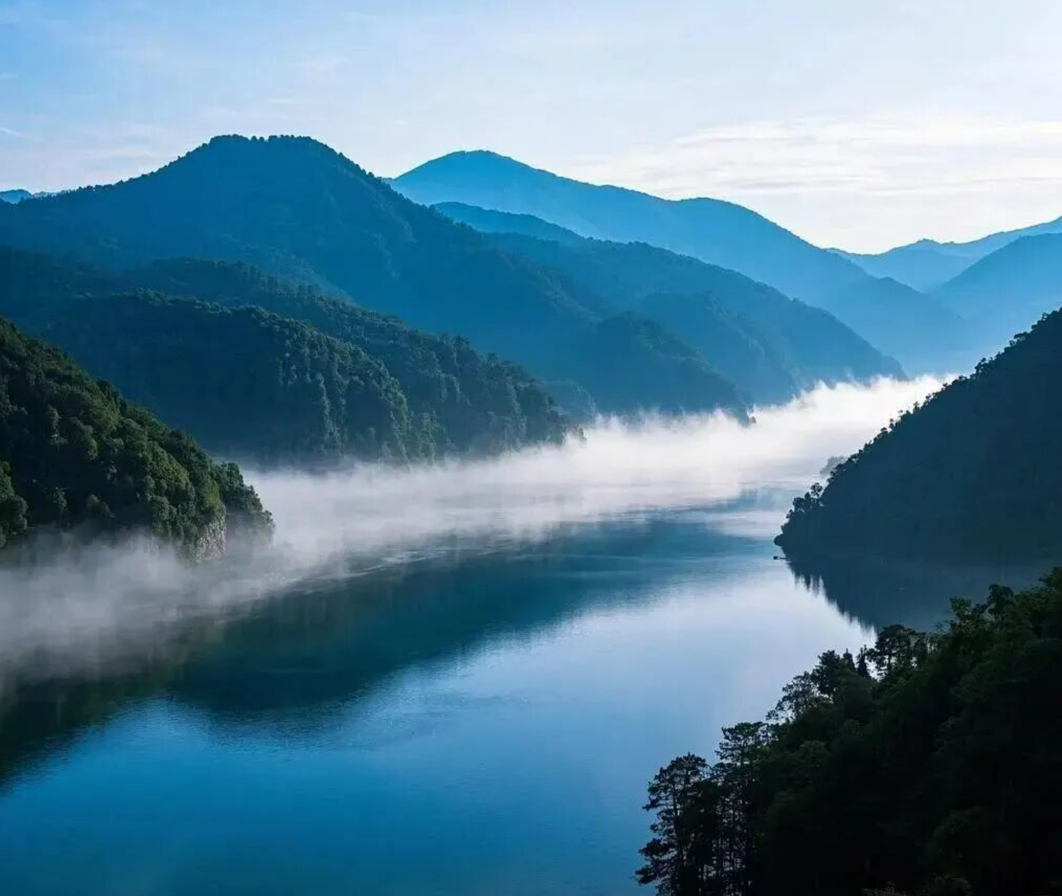 15ae00662fea8d73c62ce814e6135af1