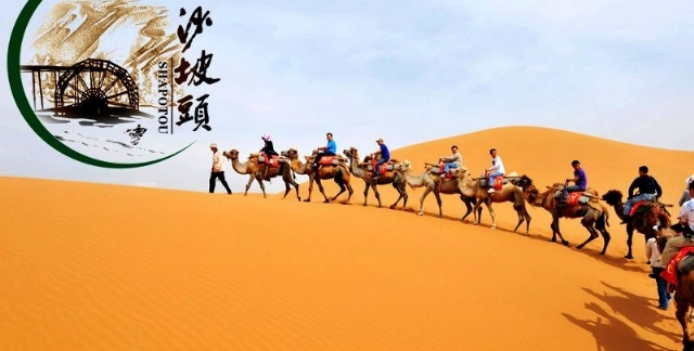 16877577750407hpjSGD