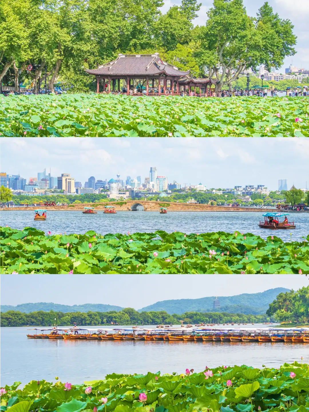 168c0e39aa02ebb9fce4790012a30d45-sz_1144647-1 168c0e39aa02ebb9fce4790012a30d45-sz_1144647-1