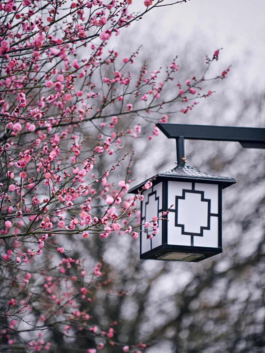 16a0783cef6ef571f02ac5175f3c2e92-sz_2257896