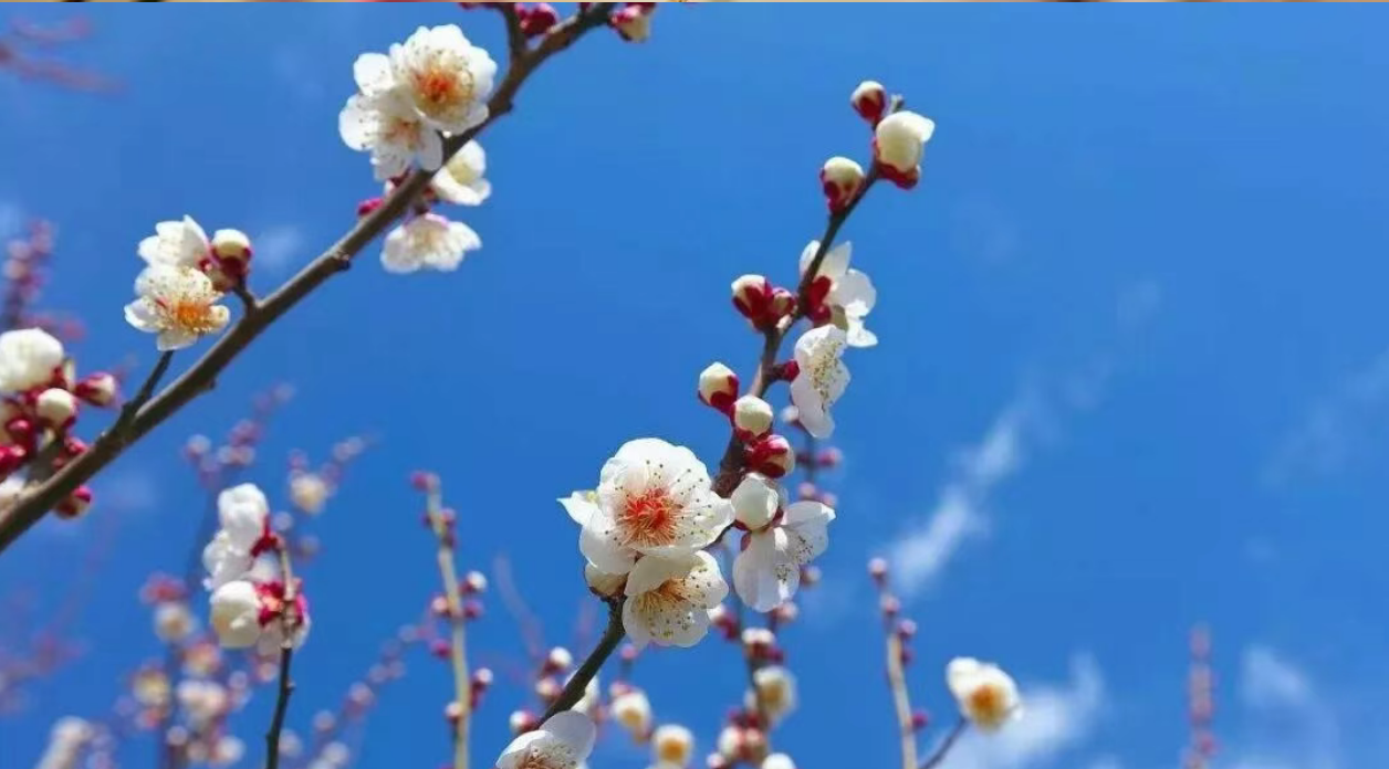 16a91e864732d4999f1cb0629f724ab8