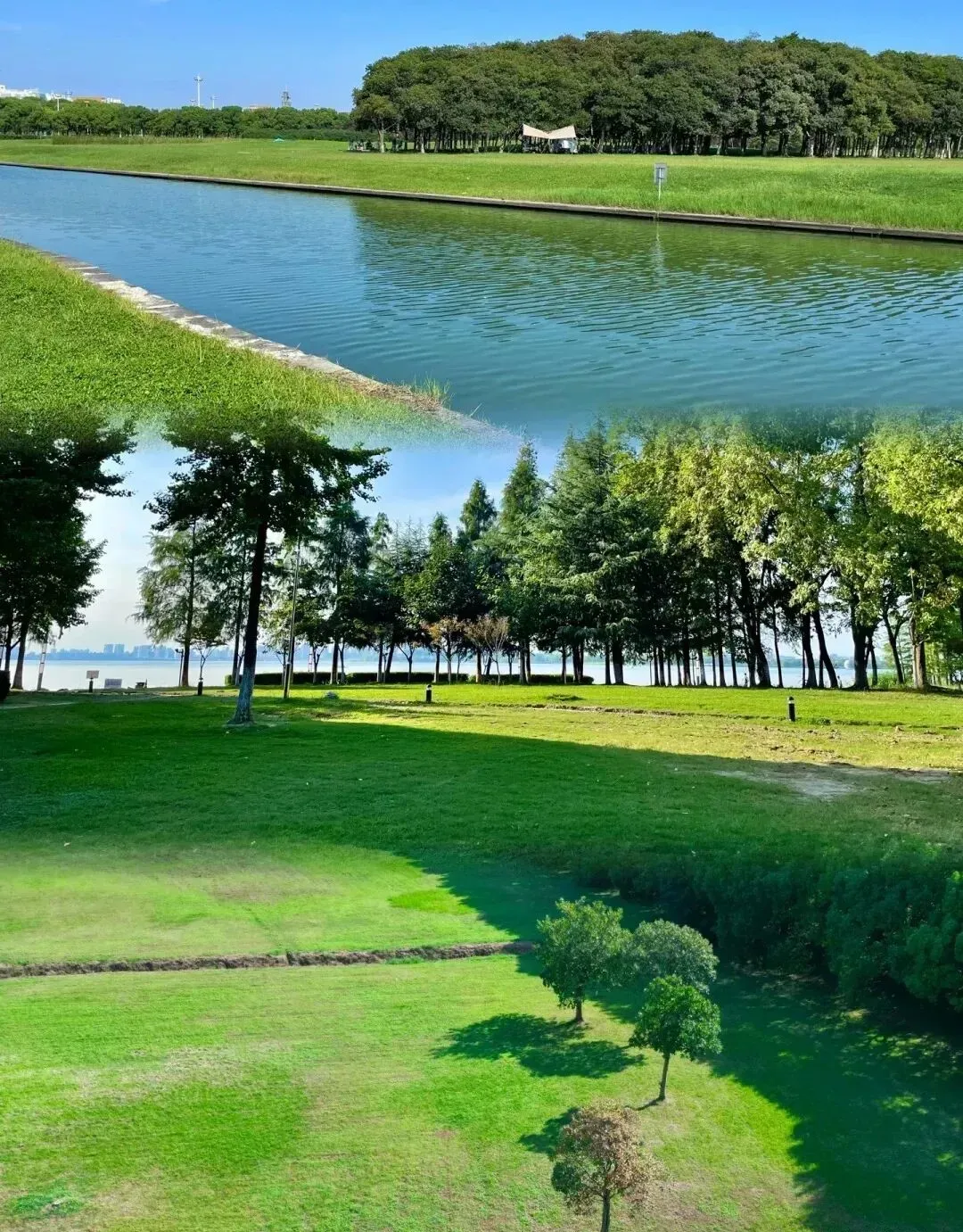 16add41ce48c68dd67fcf193ee6ae9de-sz_392633