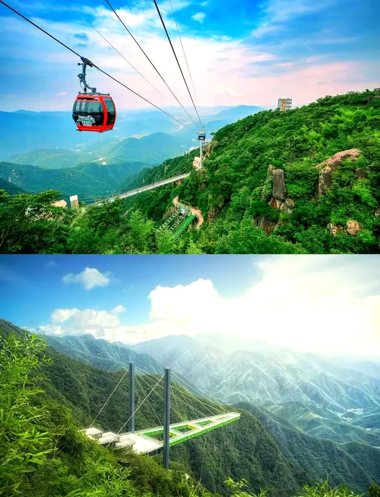 16d049c74a8ca4225d6f55e7fda9247e-sz_2449999