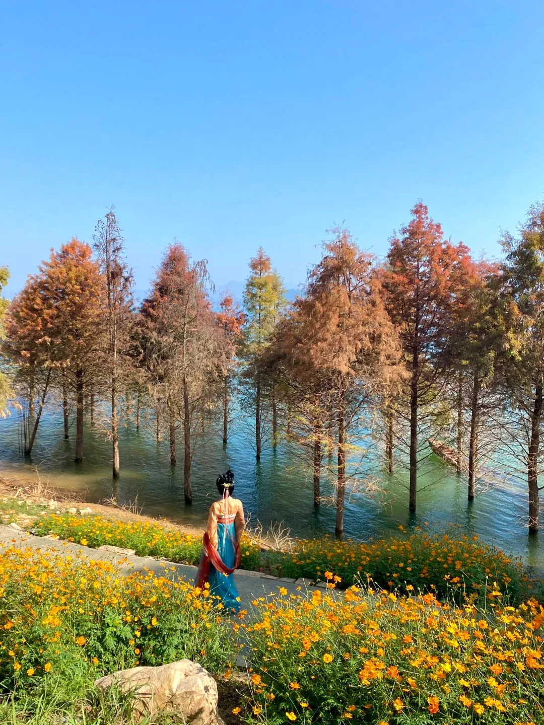 16d35b4260e351ddfa181347485abb77-sz_3080134