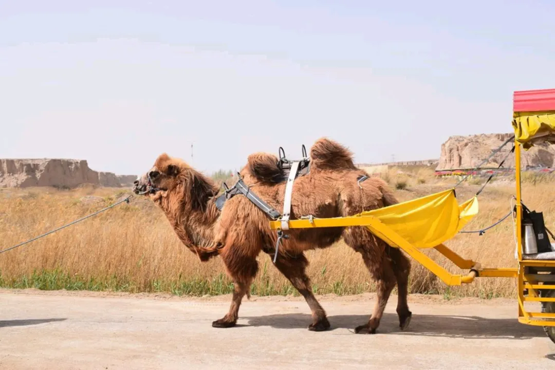 16d430e77f599d86e0b16e572118a366-sz_683035