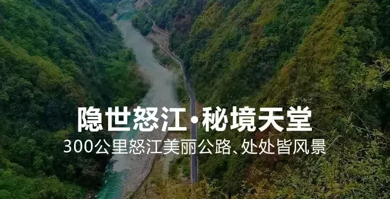 16db620e59a189bc7acd1b257054e7e2-sz_369065