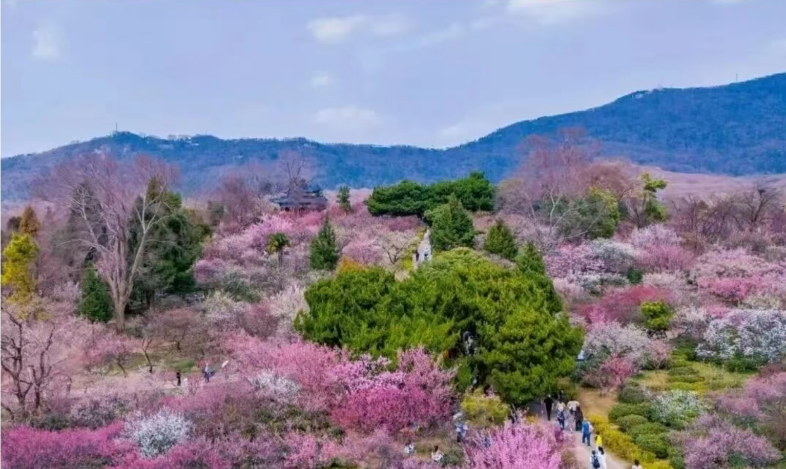 16e02950bdce1beb61738c0680a6963f