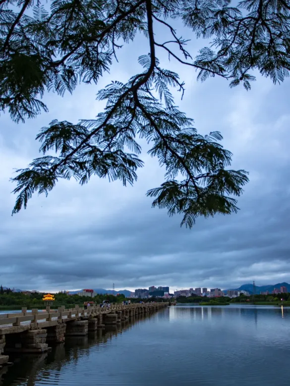 17312455ec07d89818b1cd7e5e689ee6-sz_731724