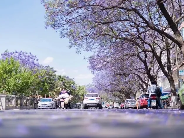 1758321982147a3d1ae5f5c7b5d0152b-sz_200126